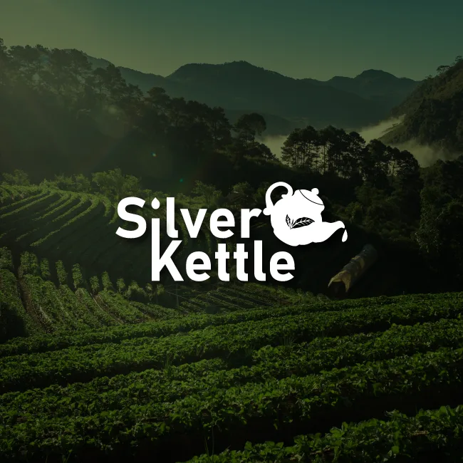 silver kettle